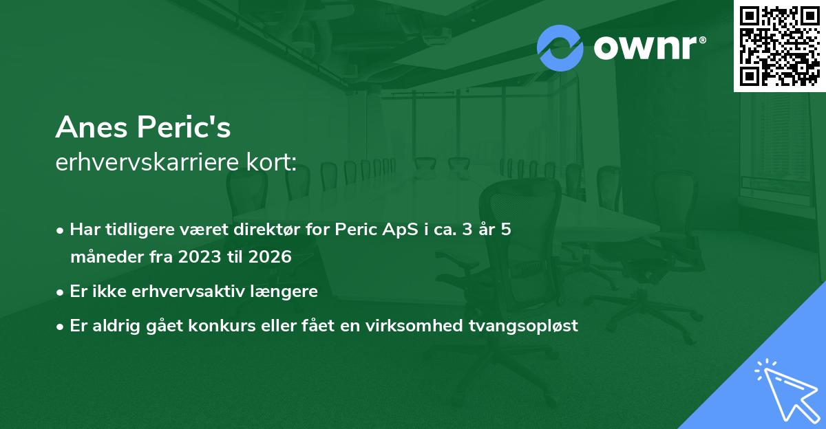 Anes Peric's erhvervskarriere kort