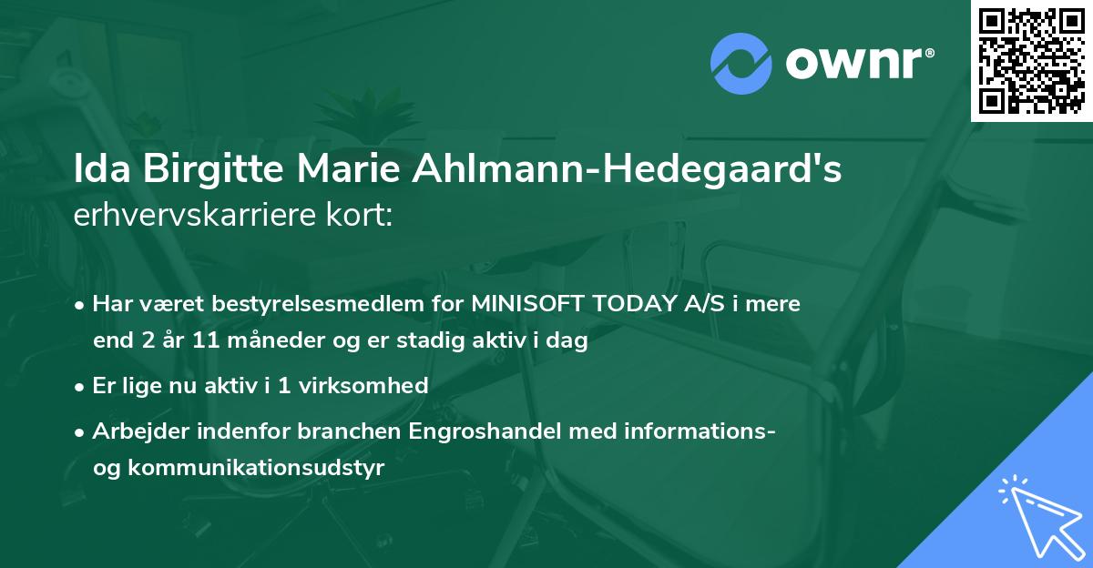 Ida Birgitte Marie Ahlmann-Hedegaard's erhvervskarriere kort