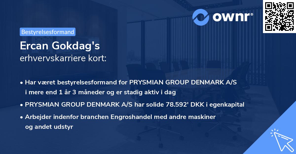 Ercan Gokdag's erhvervskarriere kort