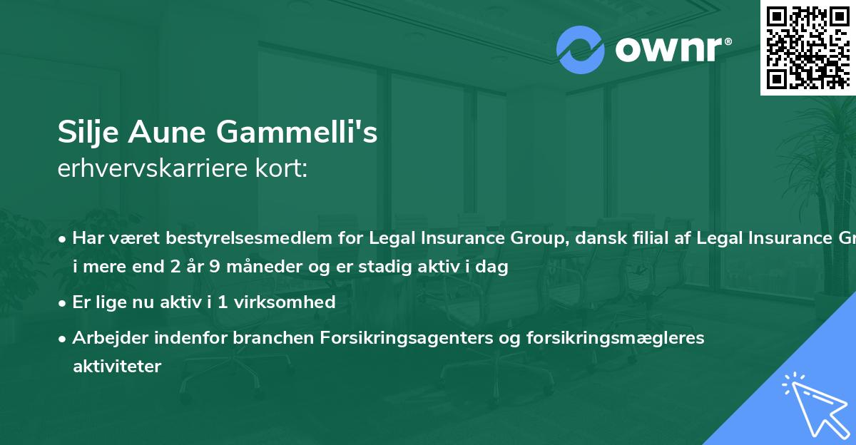 Silje Aune Gammelli's erhvervskarriere kort