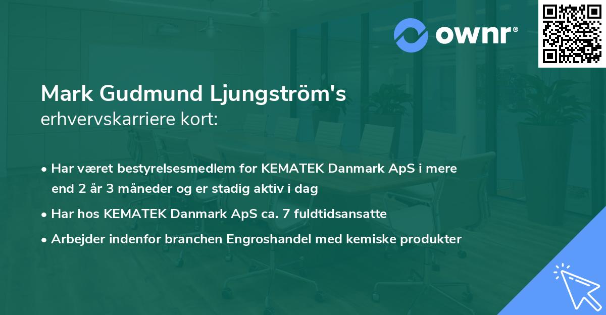 Mark Gudmund Ljungström's erhvervskarriere kort