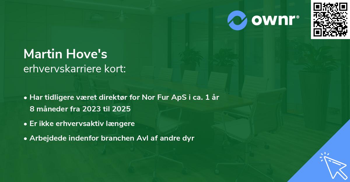 Martin Hove's erhvervskarriere kort