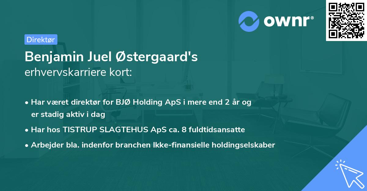 Benjamin Juel Østergaard's erhvervskarriere kort