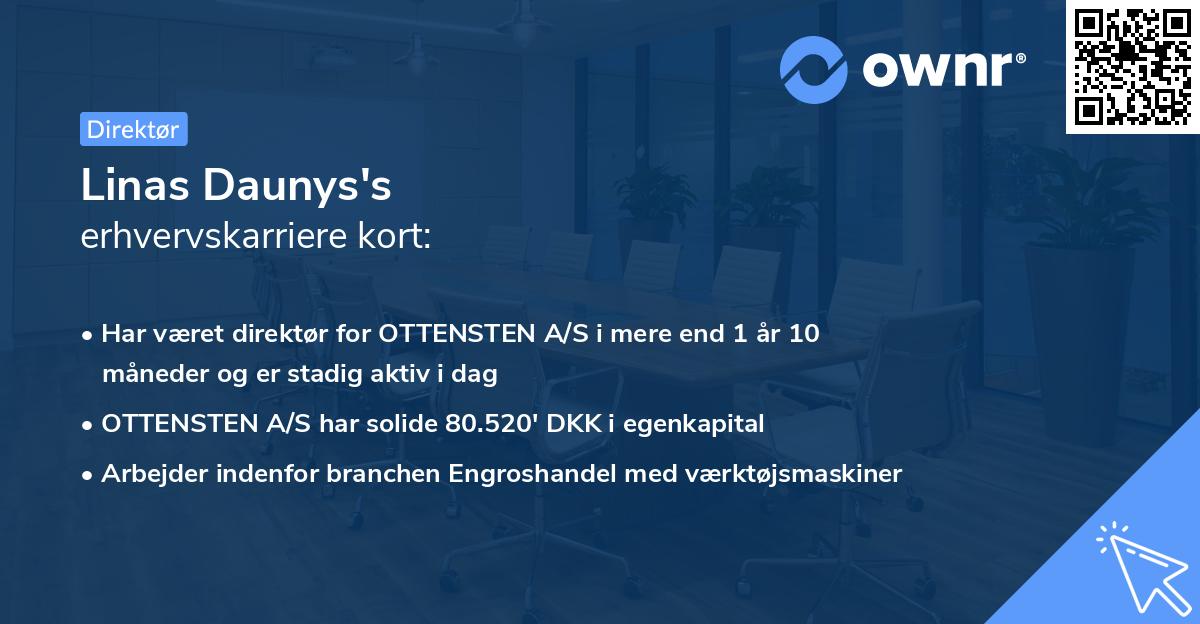 Linas Daunys's erhvervskarriere kort