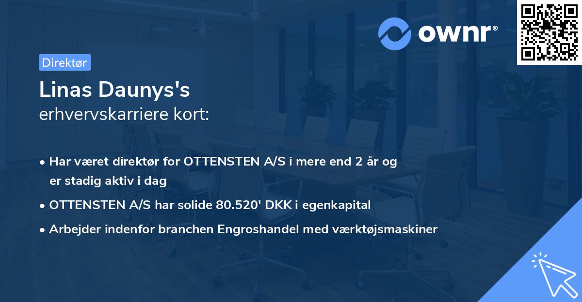 Linas Daunys's erhvervskarriere kort