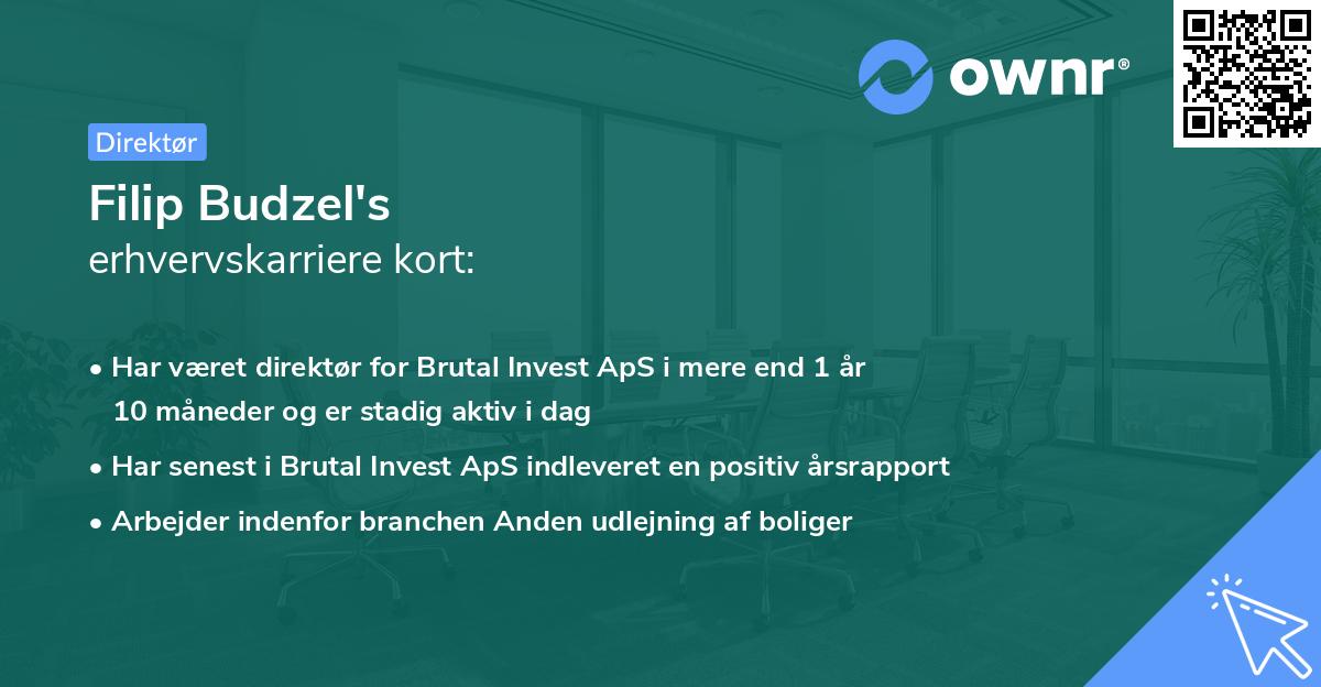 Filip Budzel's erhvervskarriere kort