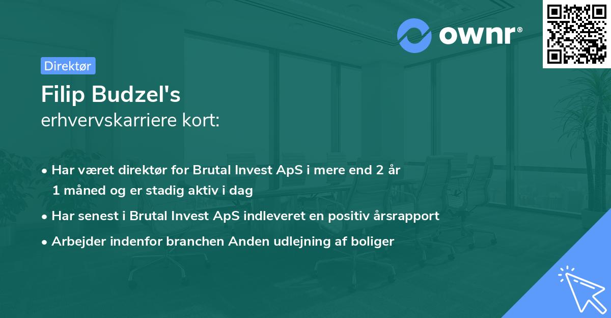 Filip Budzel's erhvervskarriere kort