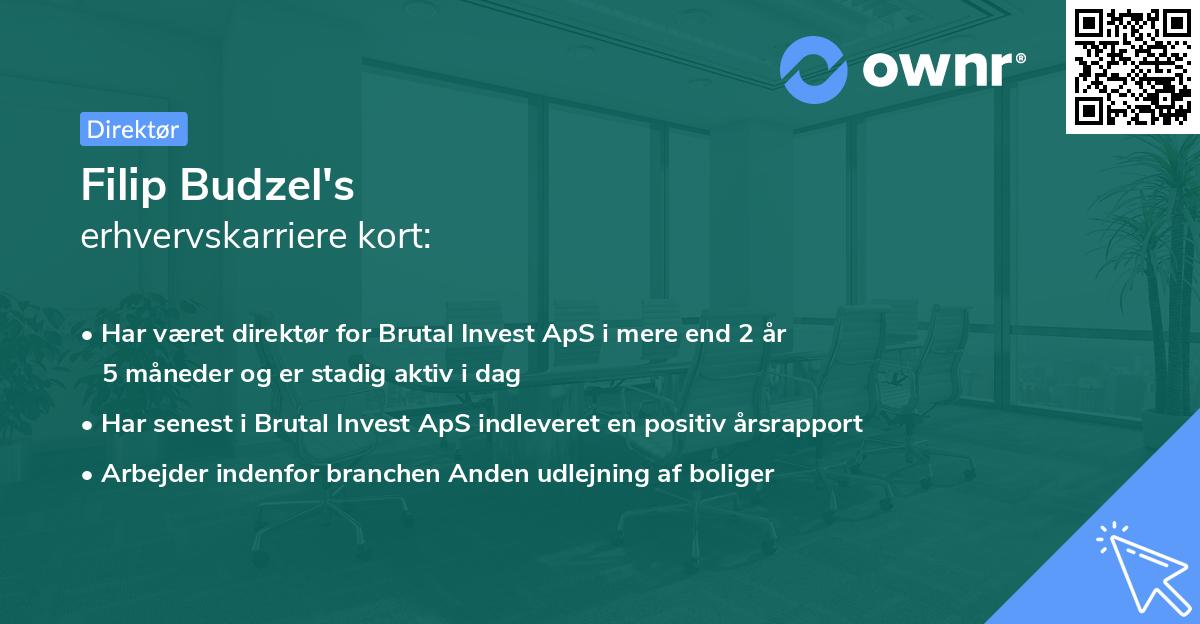 Filip Budzel's erhvervskarriere kort