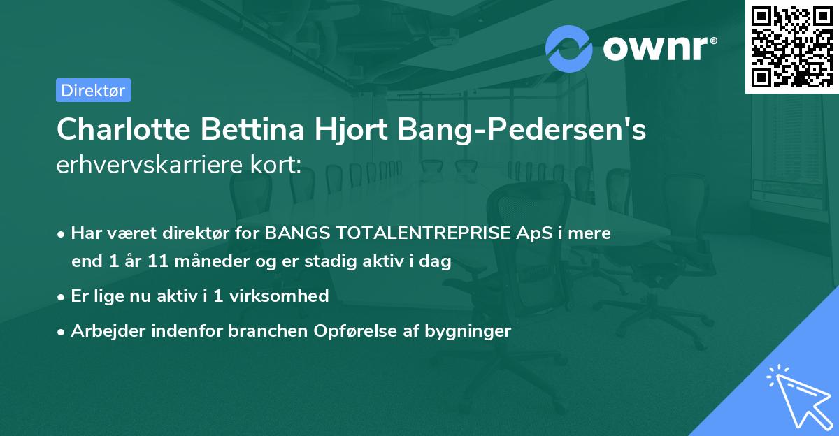 Charlotte Bettina Hjort Bang-Pedersen's erhvervskarriere kort