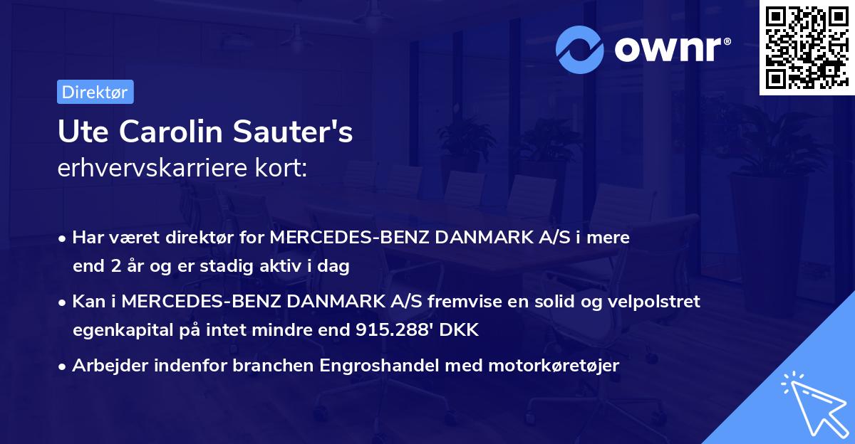 Ute Carolin Sauter's erhvervskarriere kort