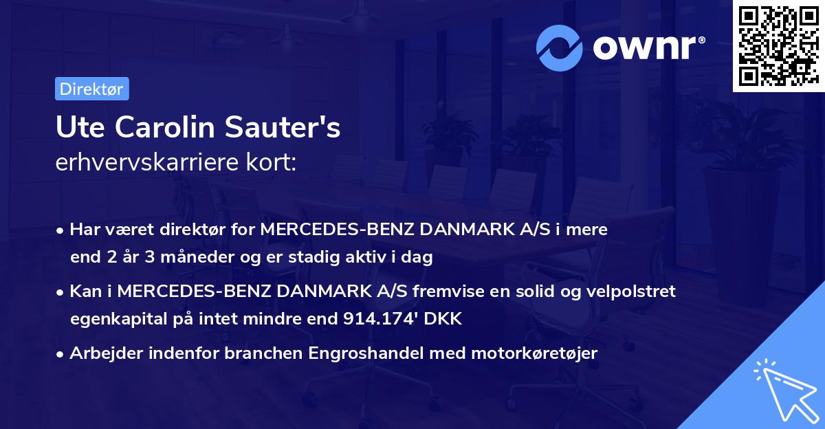 Ute Carolin Sauter's erhvervskarriere kort