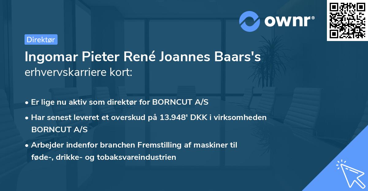 Ingomar Pieter René Joannes Baars's erhvervskarriere kort