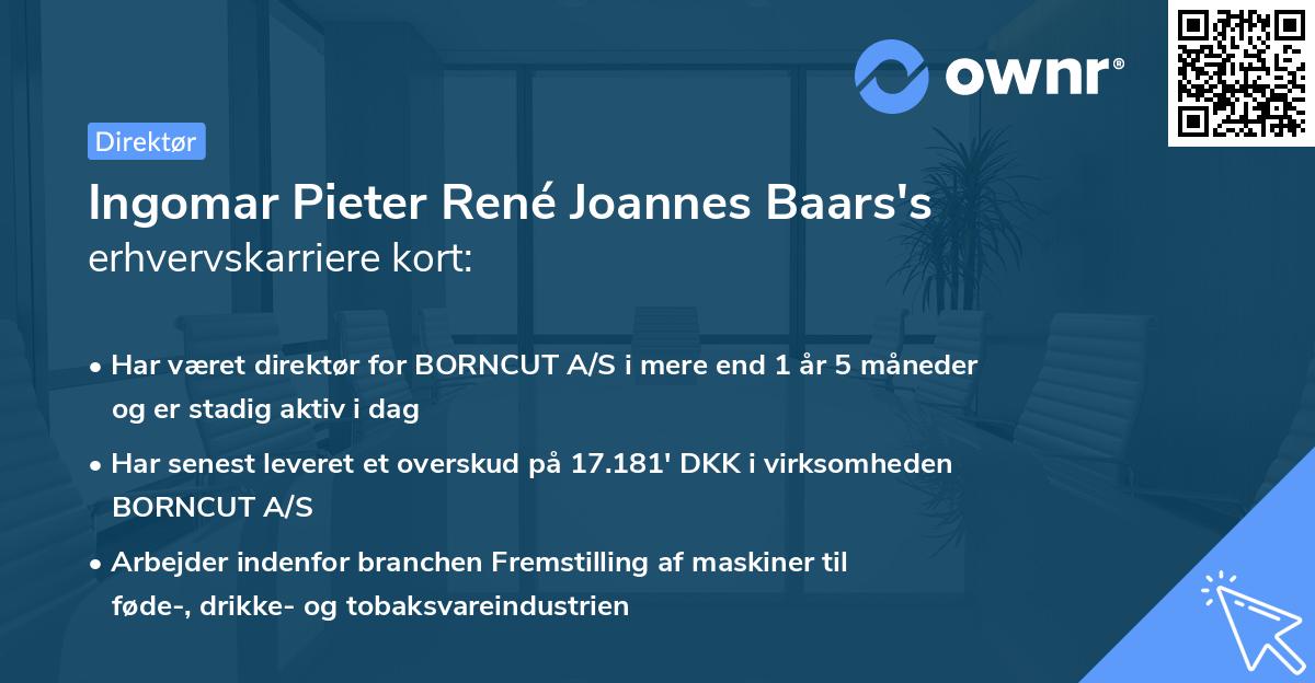 Ingomar Pieter René Joannes Baars's erhvervskarriere kort