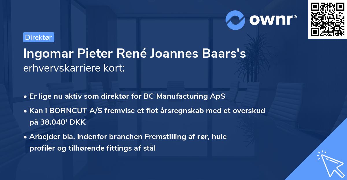 Ingomar Pieter René Joannes Baars's erhvervskarriere kort