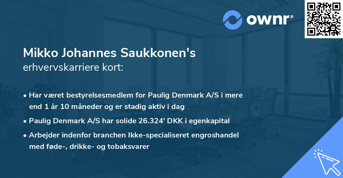 Mikko Johannes Saukkonen's erhvervskarriere kort