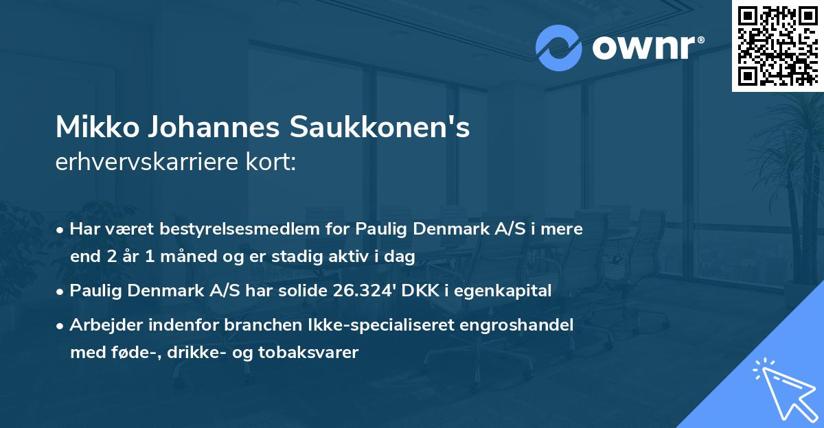 Mikko Johannes Saukkonen's erhvervskarriere kort