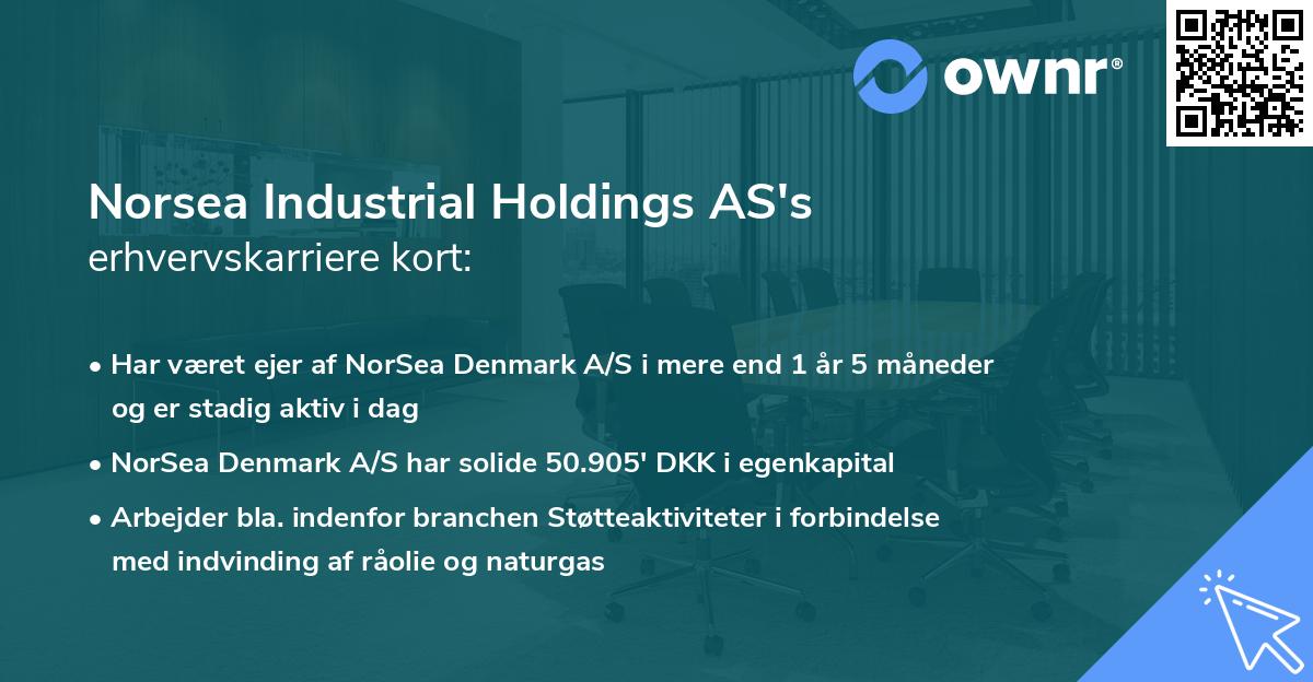 Norsea Industrial Holdings AS's erhvervskarriere kort