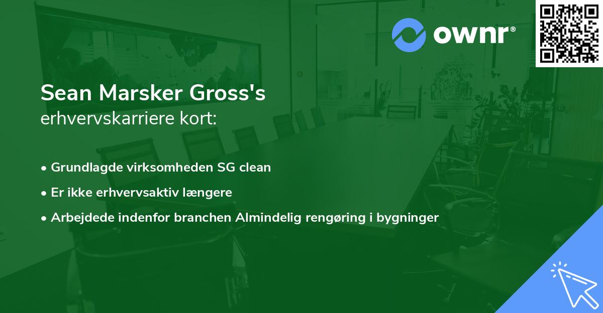 Sean Marsker Gross's erhvervskarriere kort