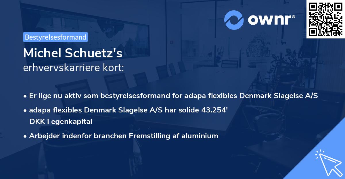 Michel Schuetz's erhvervskarriere kort
