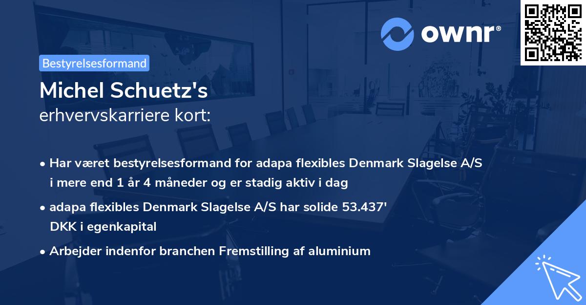 Michel Schuetz's erhvervskarriere kort