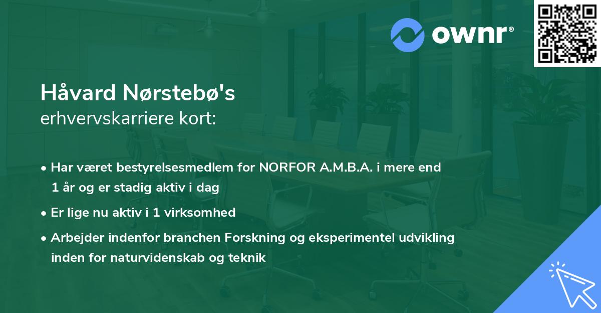 Håvard Nørstebø's erhvervskarriere kort