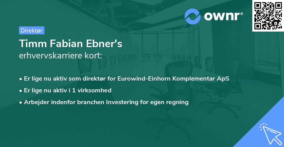 Timm Fabian Ebner's erhvervskarriere kort