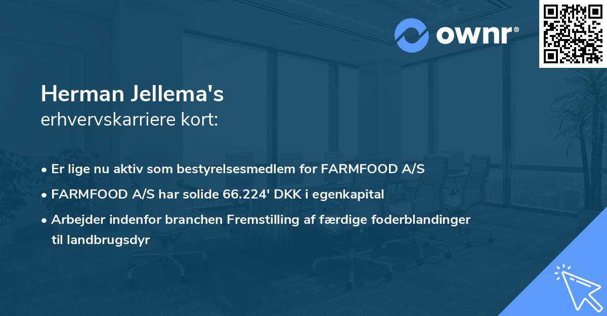 Herman Jellema's erhvervskarriere kort