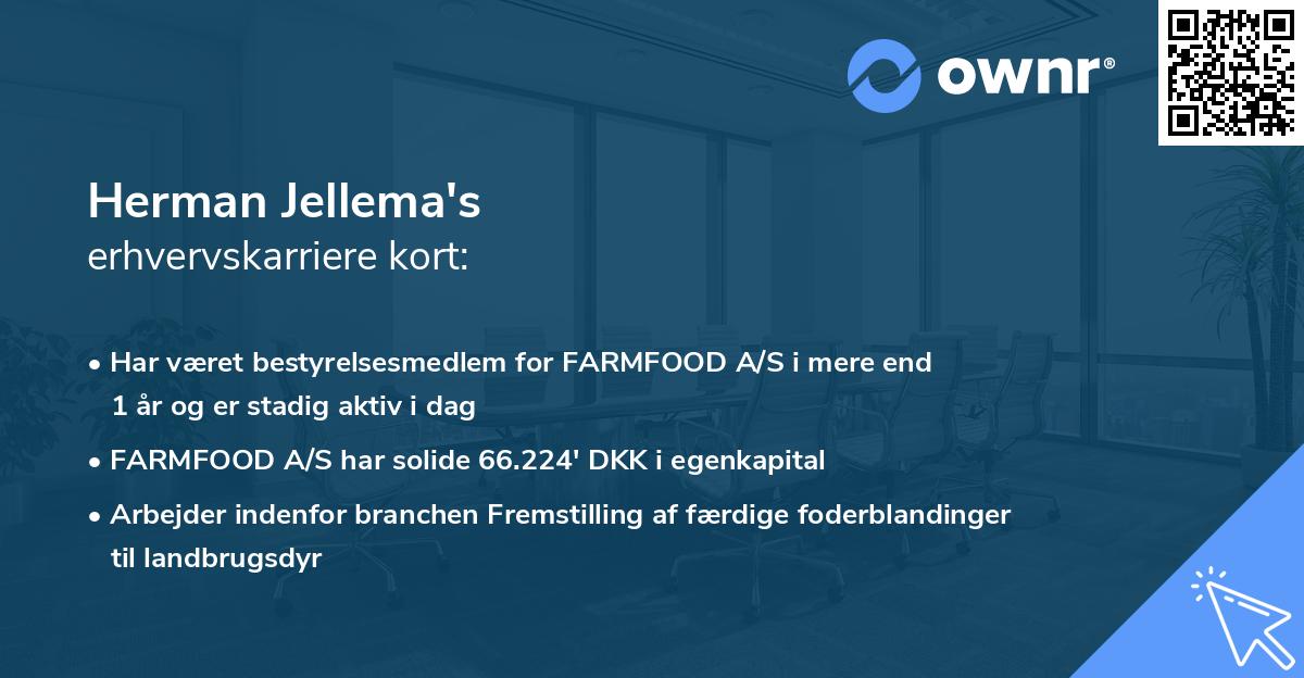 Herman Jellema's erhvervskarriere kort