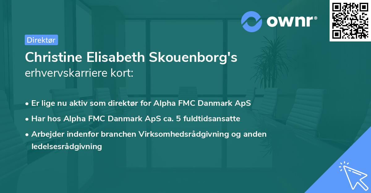 Christine Elisabeth Skouenborg's erhvervskarriere kort