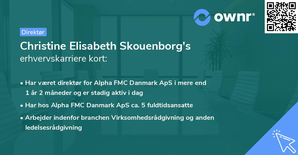 Christine Elisabeth Skouenborg's erhvervskarriere kort