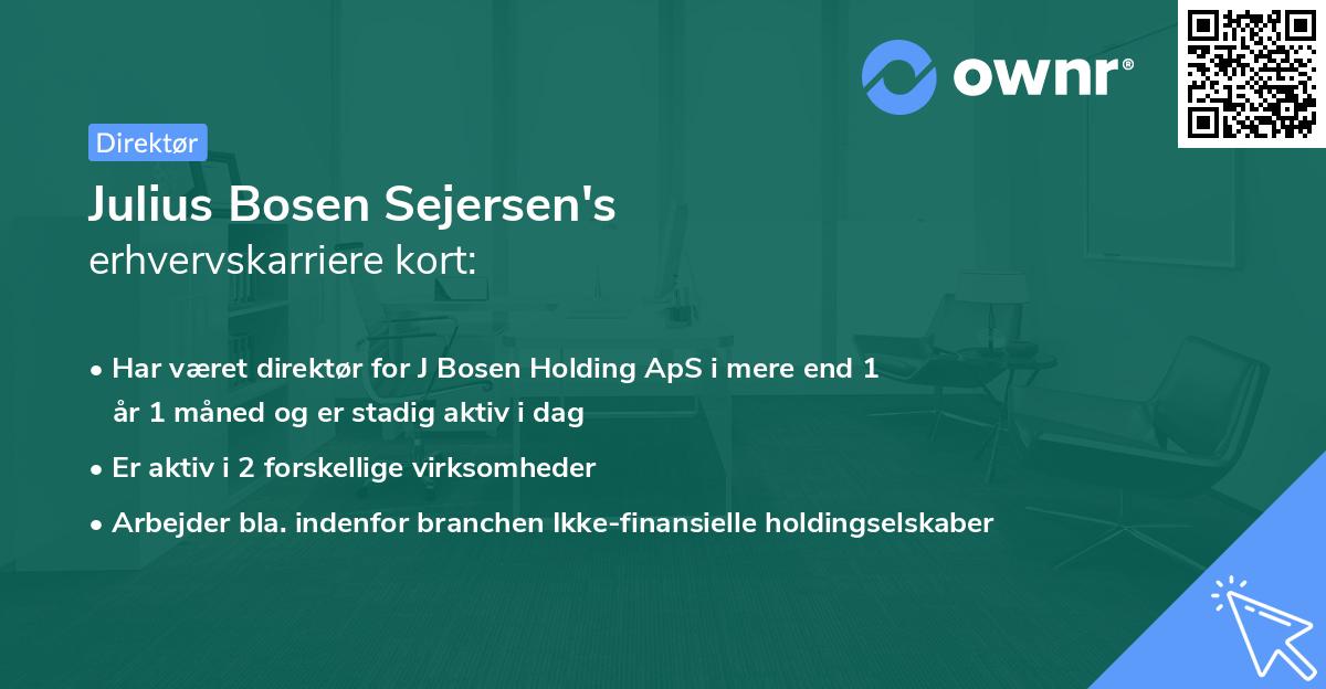 Julius Bosen Sejersen's erhvervskarriere kort