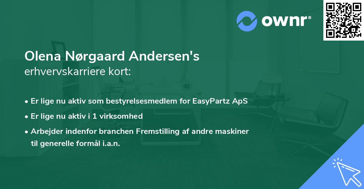 Olena Nørgaard Andersen's erhvervskarriere kort