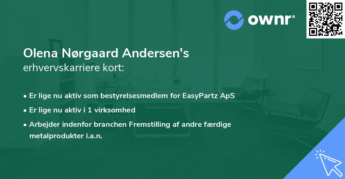 Olena Nørgaard Andersen's erhvervskarriere kort