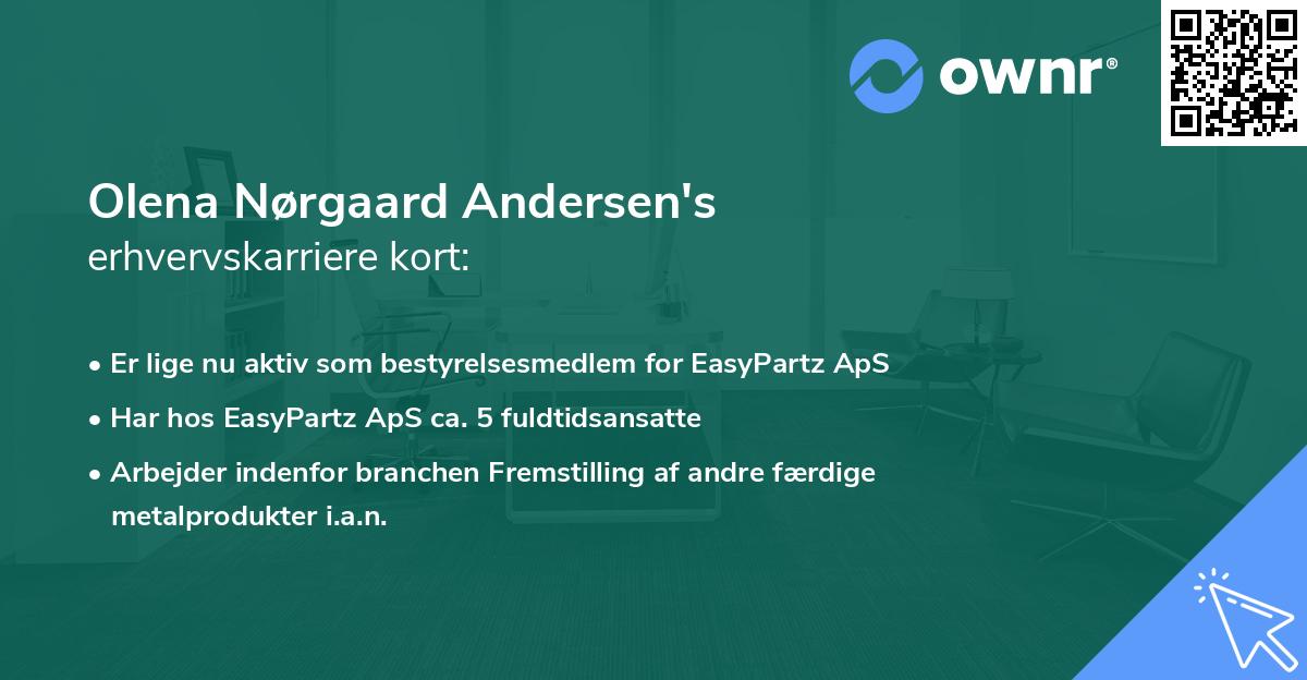 Olena Nørgaard Andersen's erhvervskarriere kort