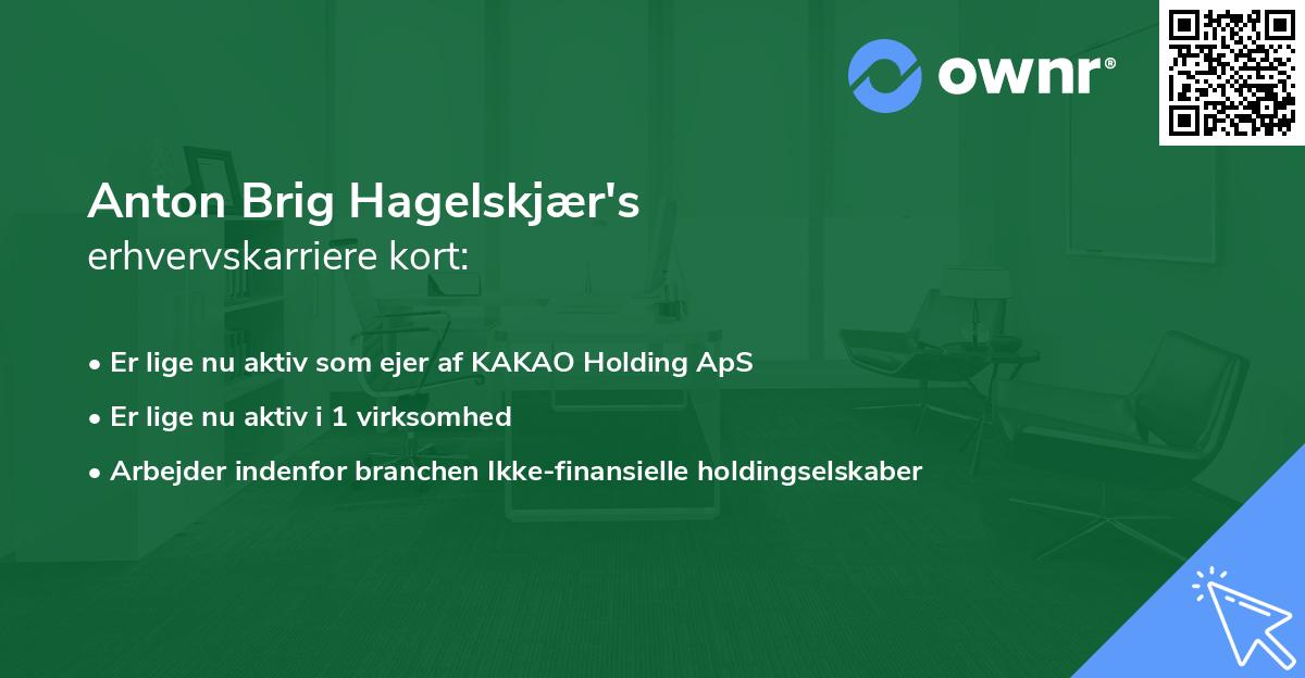 Anton Brig Hagelskjær's erhvervskarriere kort