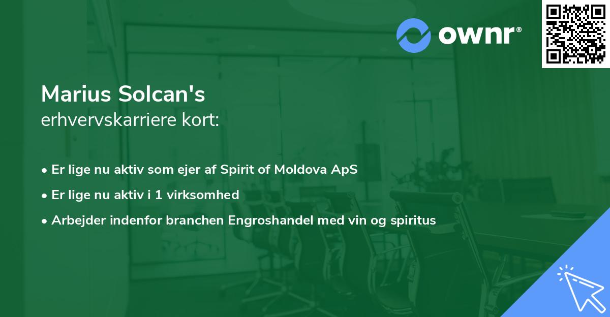 Marius Solcan's erhvervskarriere kort