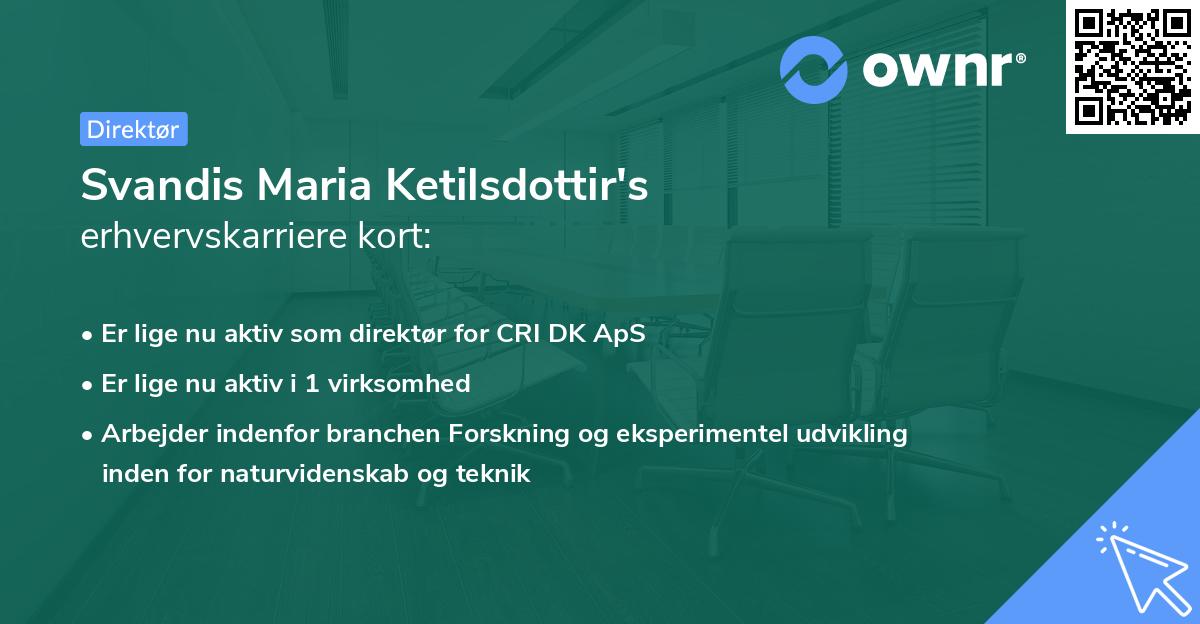 Svandis Maria Ketilsdottir's erhvervskarriere kort
