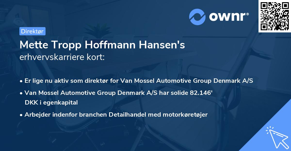 Mette Tropp Hoffmann Hansen's erhvervskarriere kort