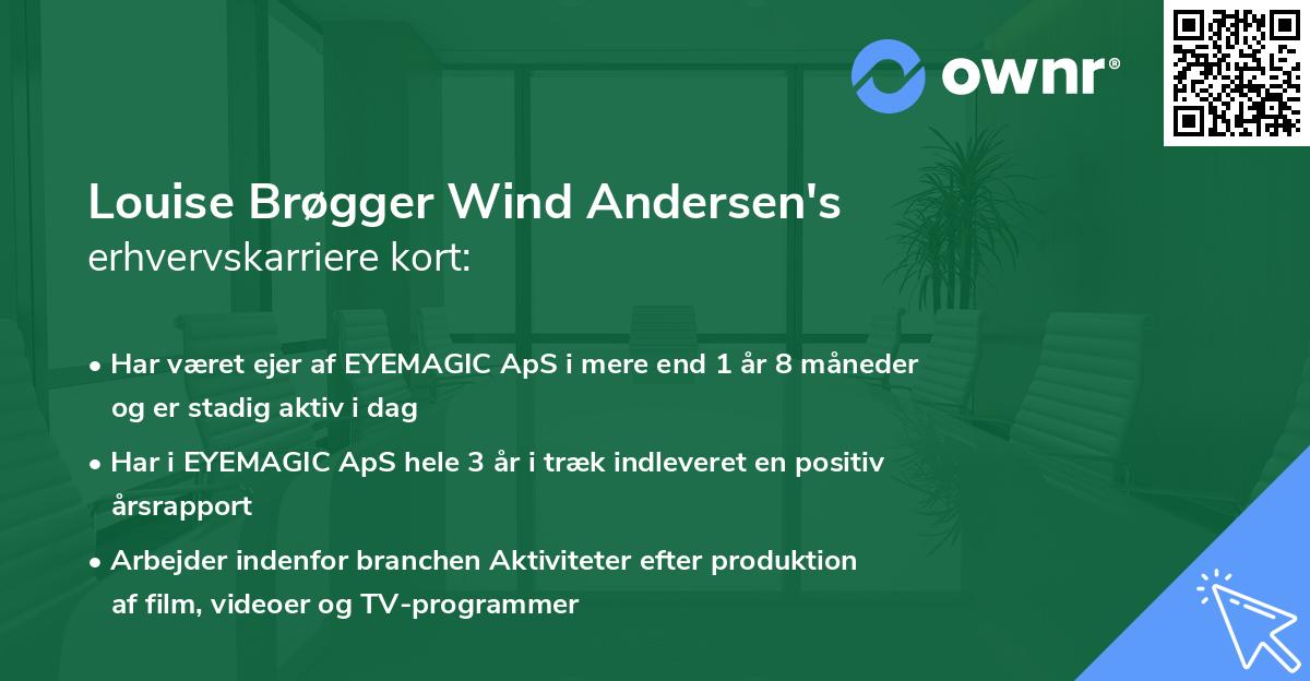 Louise Brøgger Wind Andersen's erhvervskarriere kort