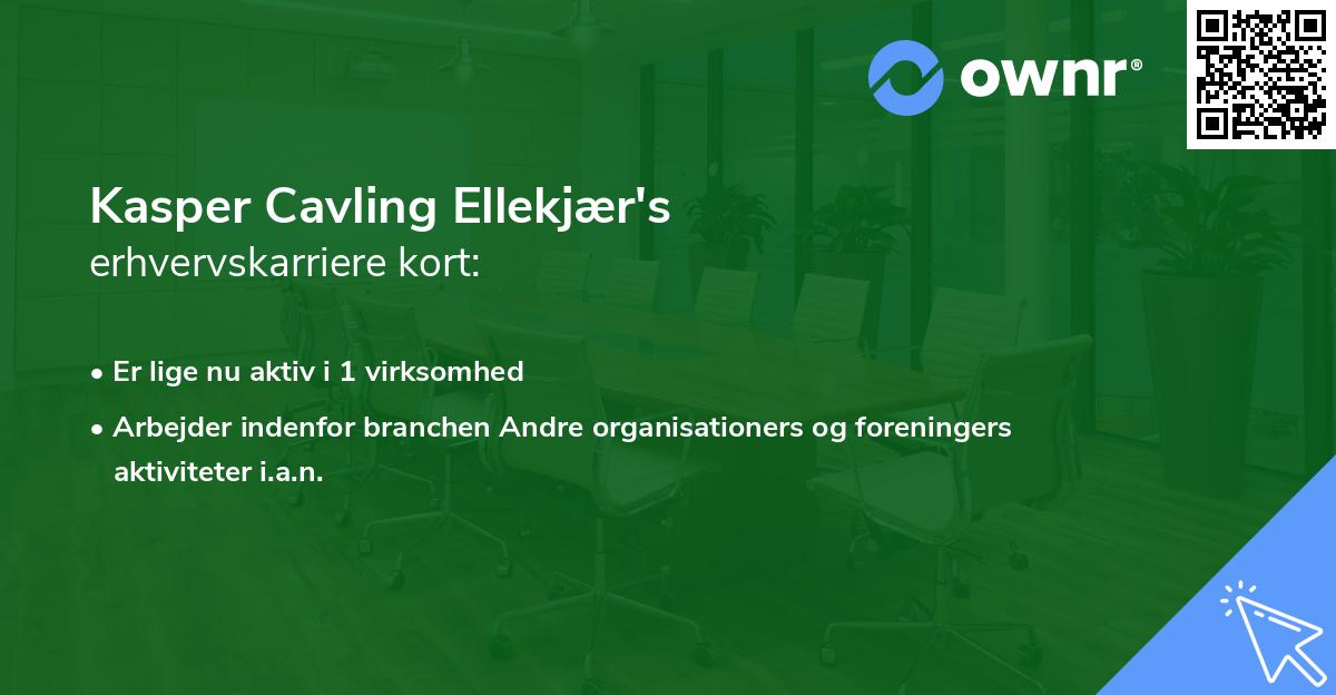 Kasper Cavling Ellekjær's erhvervskarriere kort