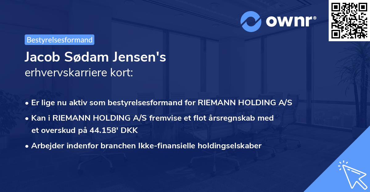 Jacob Sødam Jensen's erhvervskarriere kort