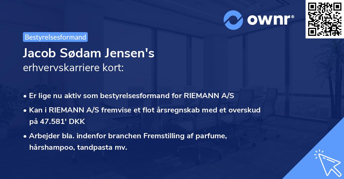 Jacob Sødam Jensen's erhvervskarriere kort