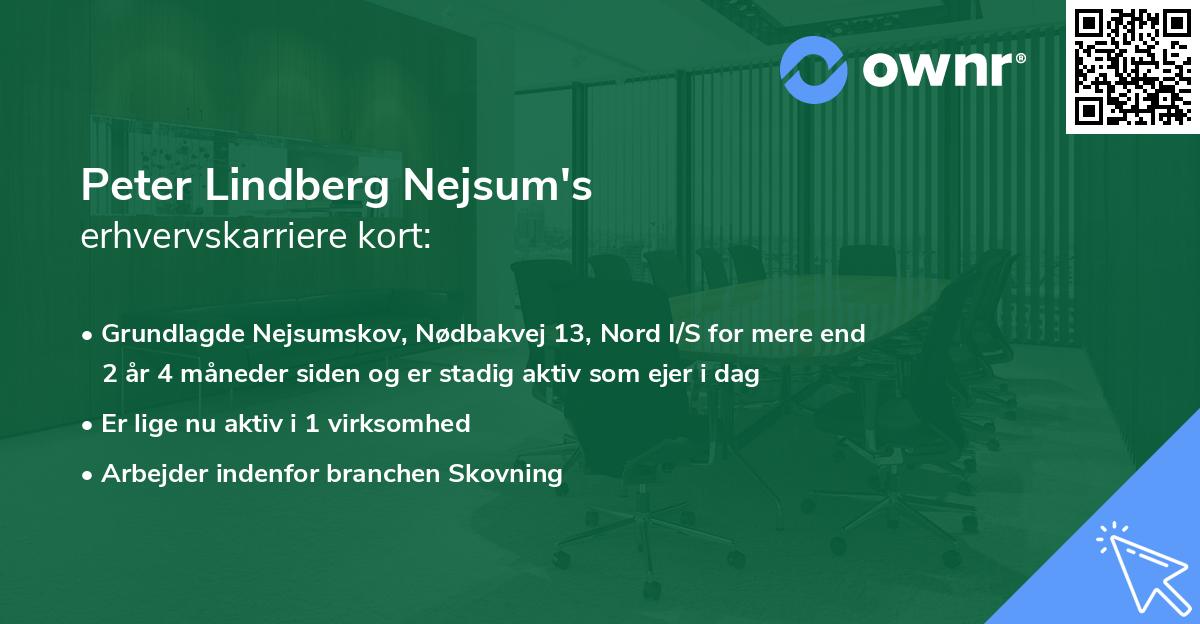 Peter Lindberg Nejsum's erhvervskarriere kort