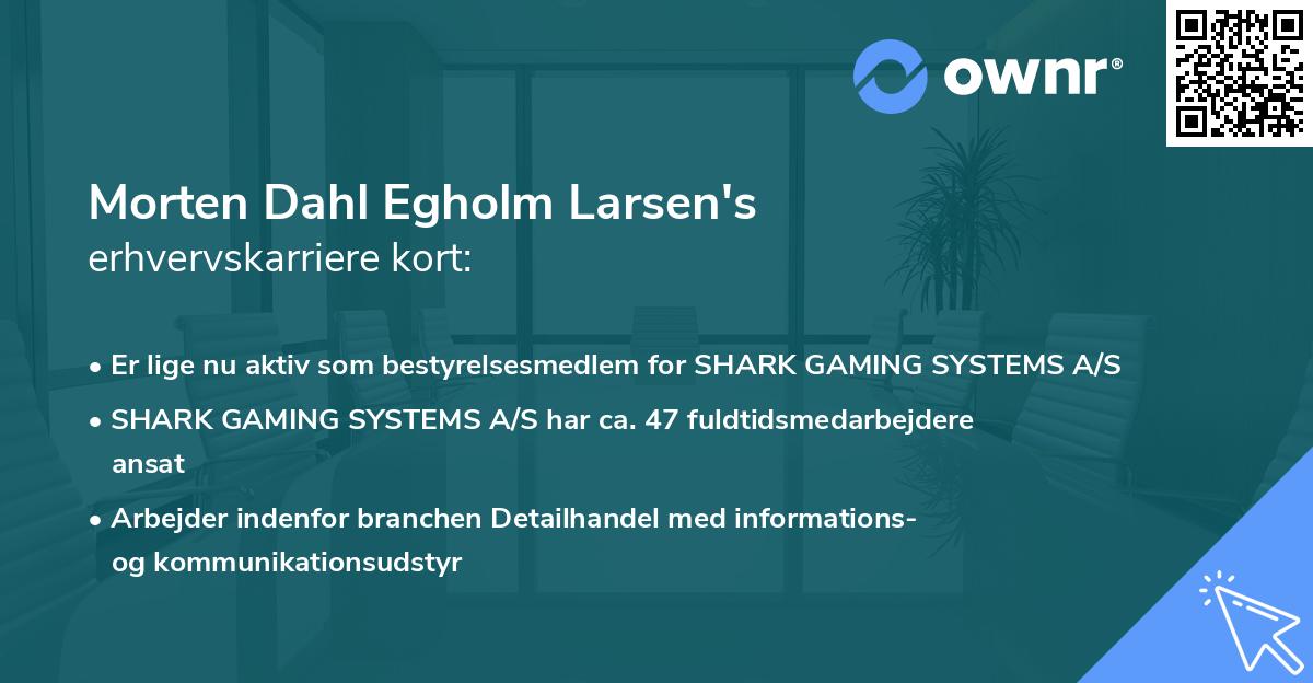Morten Dahl Egholm Larsen's erhvervskarriere kort