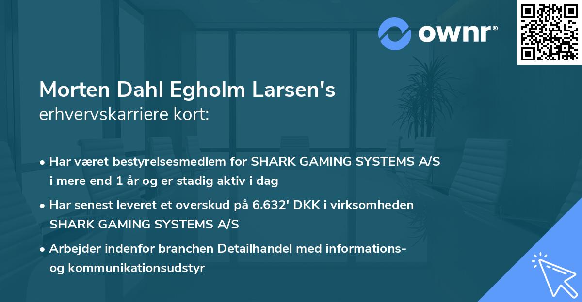 Morten Dahl Egholm Larsen's erhvervskarriere kort
