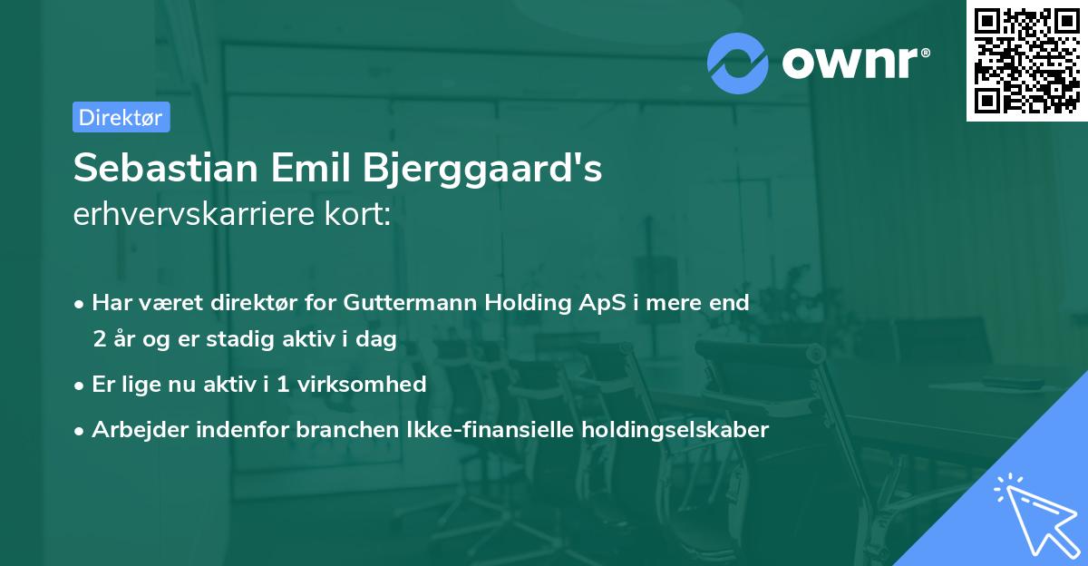 Sebastian Emil Bjerggaard's erhvervskarriere kort