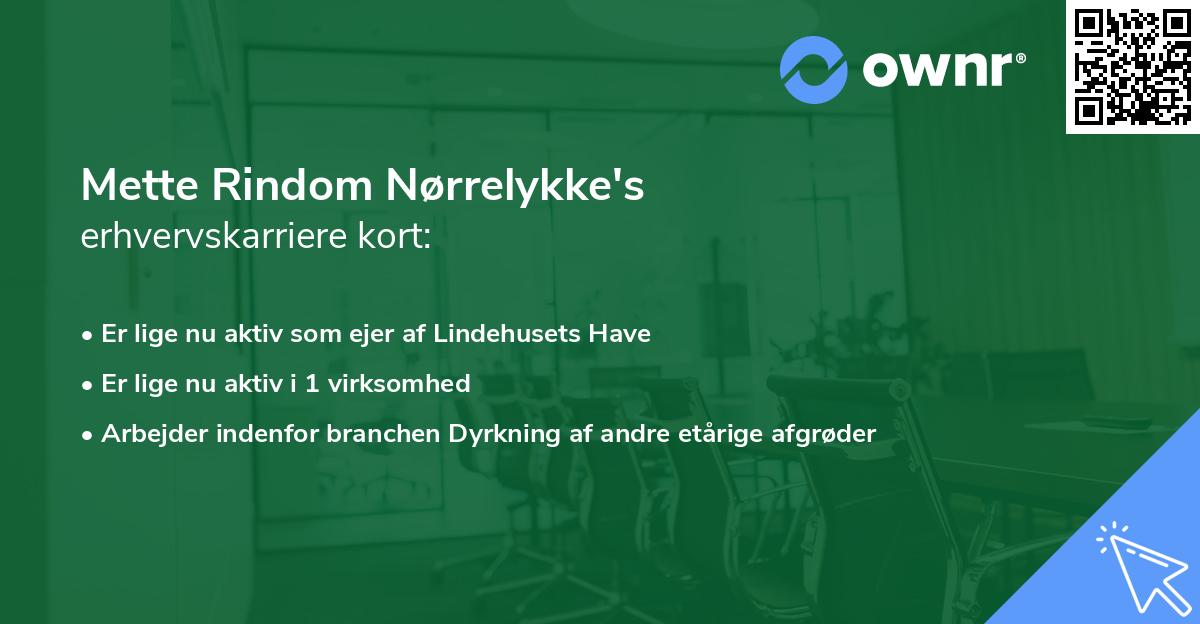 Mette Rindom Nørrelykke's erhvervskarriere kort