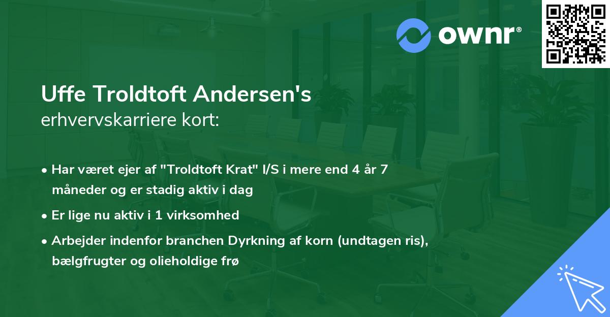 Uffe Troldtoft Andersen's erhvervskarriere kort