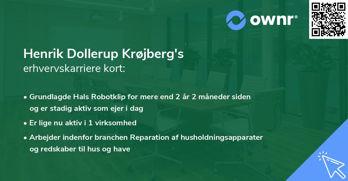 Henrik Dollerup Krøjberg's erhvervskarriere kort