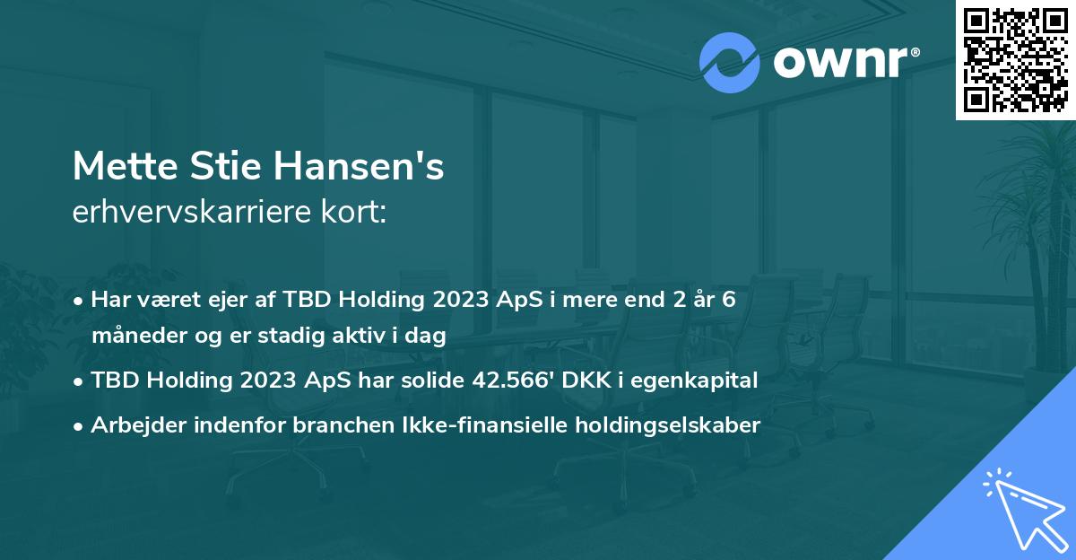Mette Stie Hansen's erhvervskarriere kort